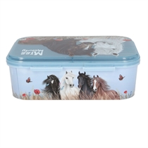 MISS MELODY Madkasse Dosty Rose