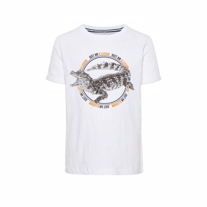 NAME IT Krokodille T-shirt