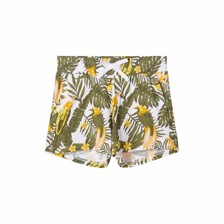 NAME IT Shorts Vigga Loden Green