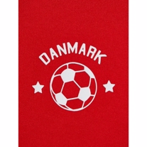 NAME IT Fodbold Sæt Danmark