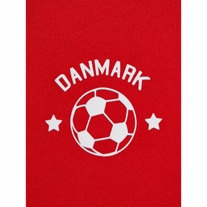 NAME IT Fodbold Sæt Danmark