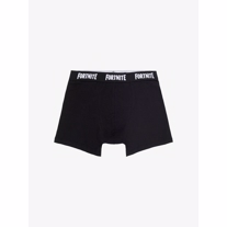 NAME IT 2-Pak Fortnite Boxershorts 