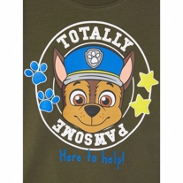 NAME IT Paw Patrol Sweatshirt Michael Grøn