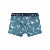 NAME IT 2-Pak Basis Boksershorts Real Teal Dino