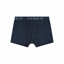 NAME IT 2-Pak Basis Boksershorts Real Teal Dino
