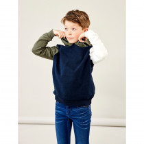 NAME IT Sweat Hoodie Alpo Beetle