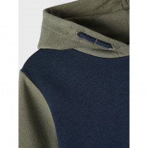 NAME IT Sweat Hoodie Alpo Beetle