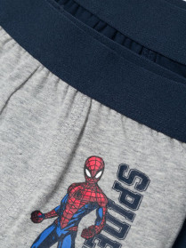 NAME IT 2-Pak Spiderman Boxershorts Dark Sapphire