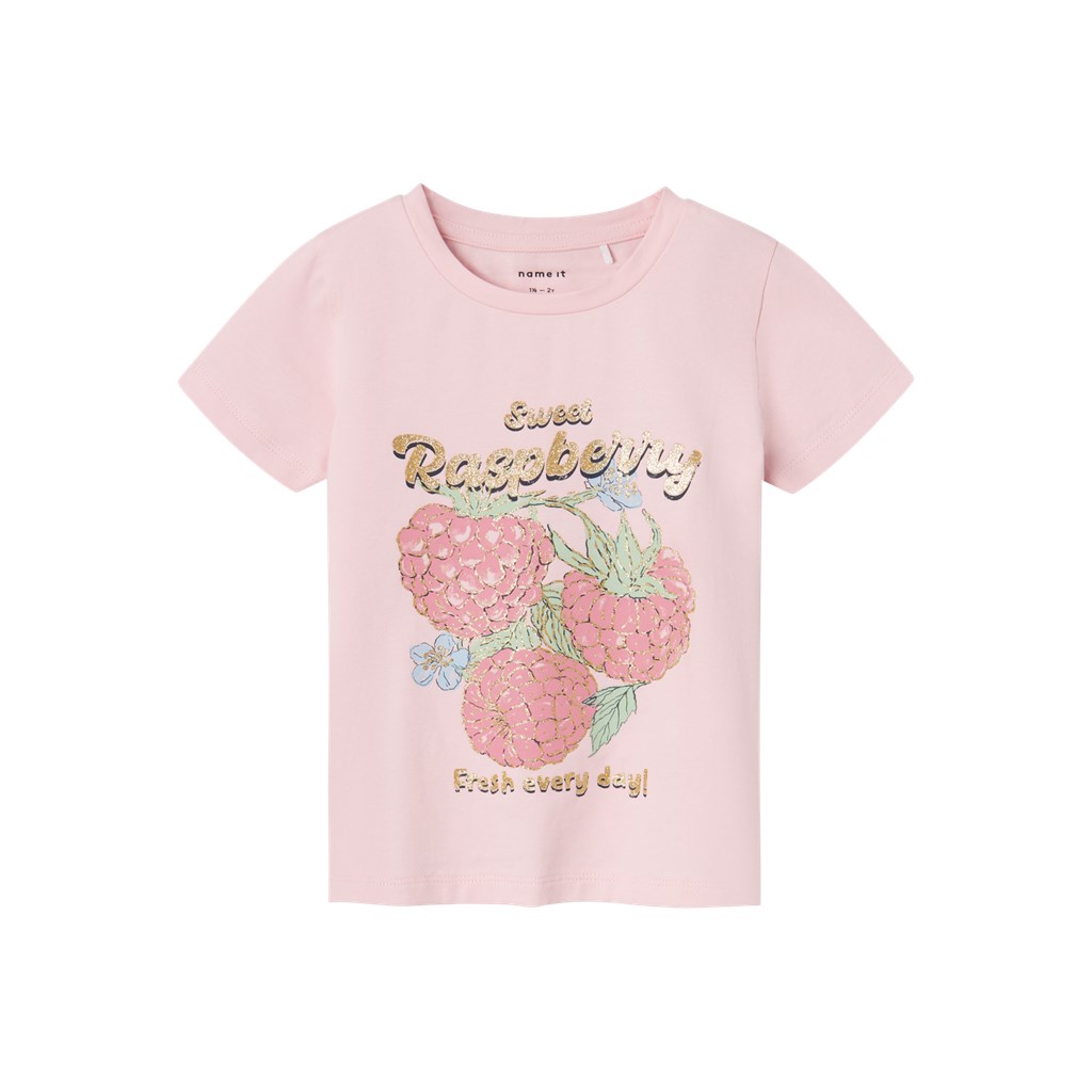 NAME IT T-Shirt Diaz Parfait Pink