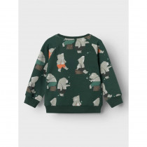 NAME IT Sweatshirt Larsen Pine Grove