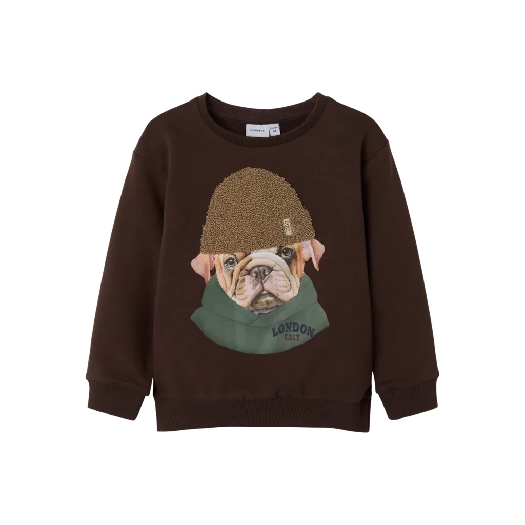 NAME IT Sweatshirt Radek Bracken