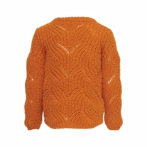 ONLY KIDS Strik Pullover Havana Marmalade