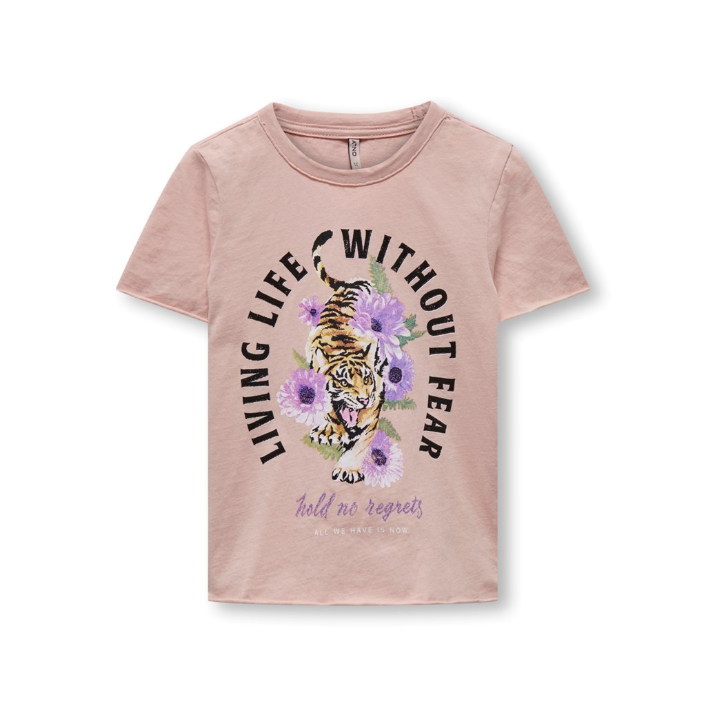 Billede af ONLY Kids T-Shirt Lucy Rose Smoke Fear