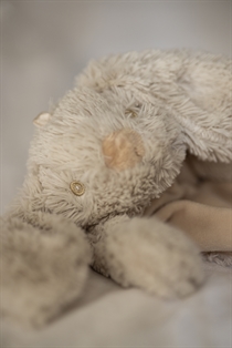 TEDDY KOMPANIET Lolli Nusseklud Beige