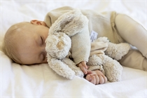 TEDDY KOMPANIET Lolli Nusseklud Beige
