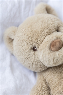 TEDDY KOMPANIET Sven Tyngdebamse