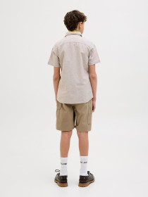 JACK & JONES Shorts Sttony Carpenter Elmwood