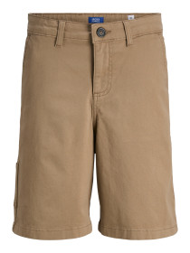 JACK & JONES Shorts Sttony Carpenter Elmwood
