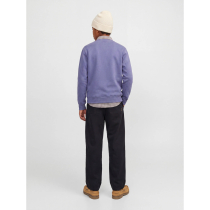 JACK & JONES Jogger Stevan Elvaro Black