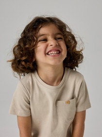 NAME IT T-shirt Hugo Chateau Gray