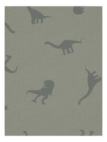 NAME IT Natsæt Agave Green Dino