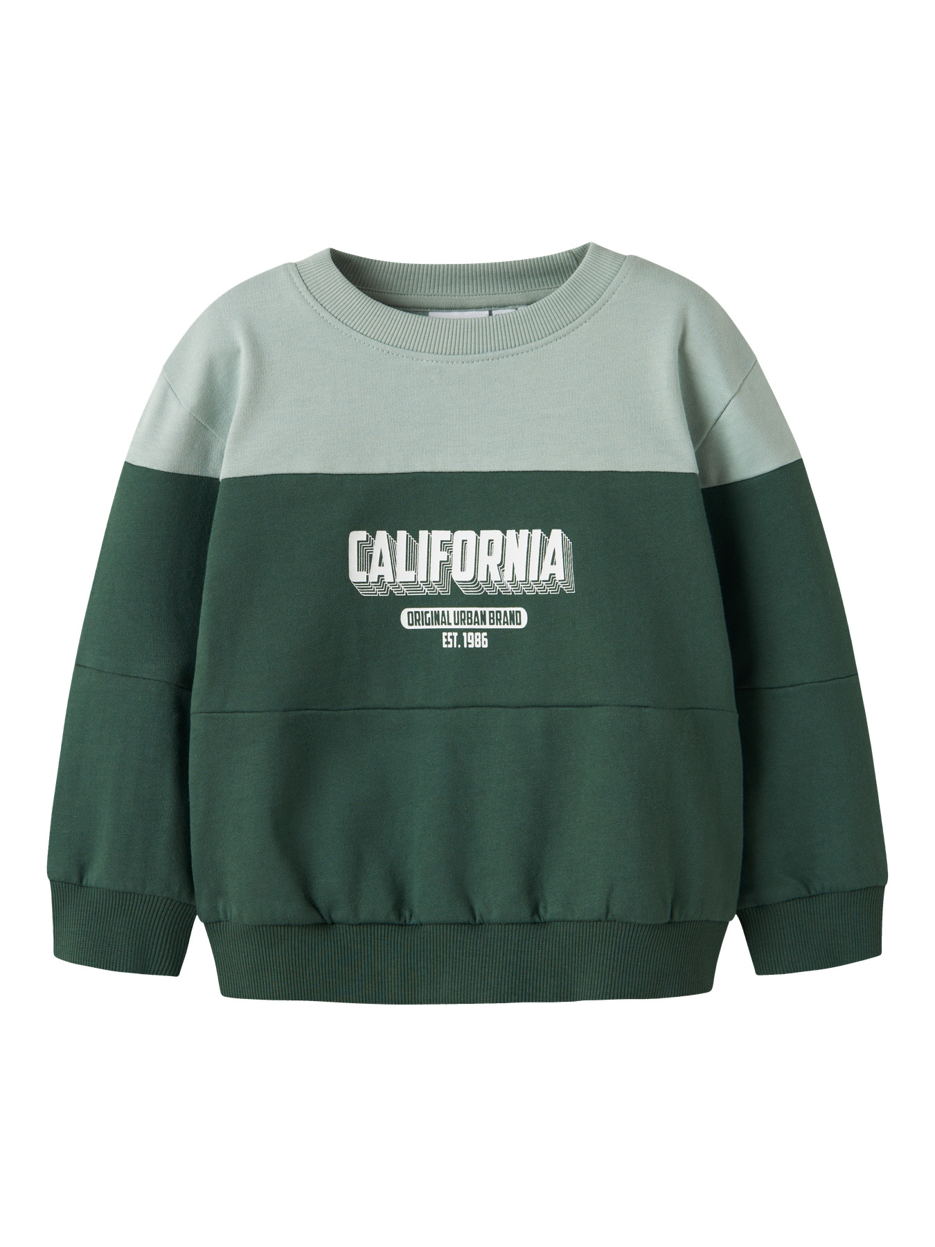 NAME IT Sweatshirt Vemil Garden Topiary California