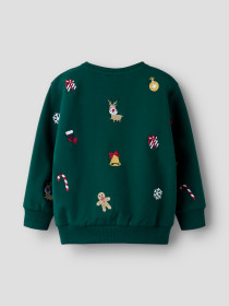 NAME IT Jule Sweatshirt Kringle Botanical Garden