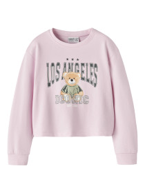 NAME IT Sweatshirt Vanita Pirouette La Teddy