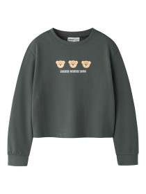 NAME IT Sweatshirt Vanita Urban Chic Iconic Teddy