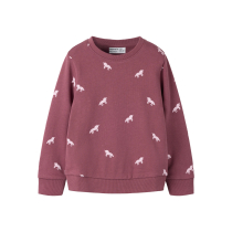 NAME IT Sweatshirt Valba Wild Ginger W. Unicorns