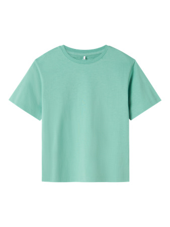 NAME IT T-shirt Vobbo Creme De Menthe