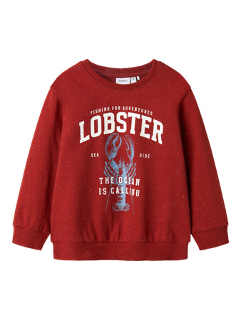 NAME IT Sweatshirt Fabian Red Ochre