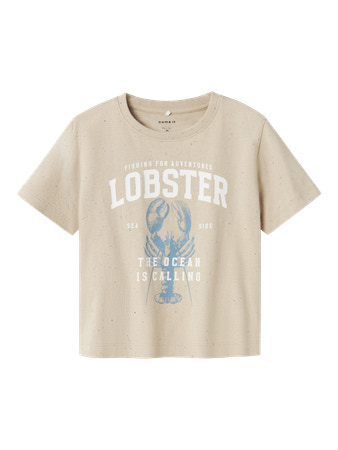 NAME IT T-shirt Fabi Peyote