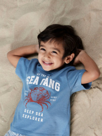 NAME IT T-shirt Fabi Spring Lake