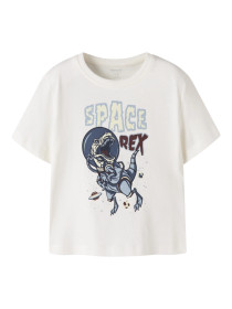 NAME IT T-shirt Victor Cloud Dancer Dino Rex