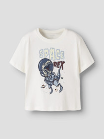 NAME IT T-shirt Victor Cloud Dancer Dino Rex