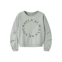 NAME IT Sweatshirt Ptaround Aqua Gray