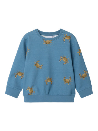 NAME IT Sweatshirt Fernan Spring Lake