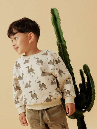 Name It Sweatshirt Peyote Med Dromedarprint - Str. 2y 92cm