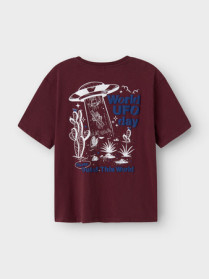 NAME IT T-shirt Karlo Fig