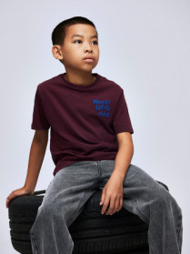 NAME IT T-shirt Karlo Fig