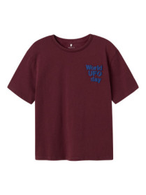 NAME IT T-shirt Karlo Fig
