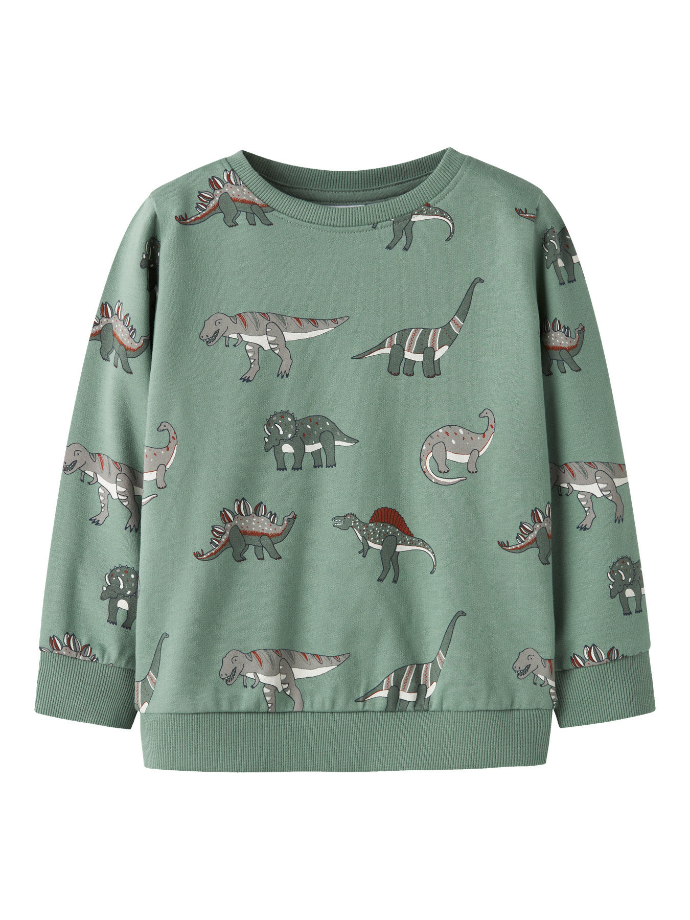 NAME IT Sweatshirt Nenean Green Bay