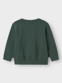 NAME IT Sweatshirt Jaba Jurassic Garden Topiary