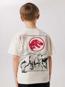 NAME IT T-shirt Just Jurassic Peyote Melange