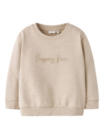 NAME IT Sweatshirt Laise Peyote Melange