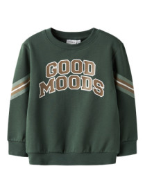 NAME IT Sweatshirt Lancer Garden Topiary