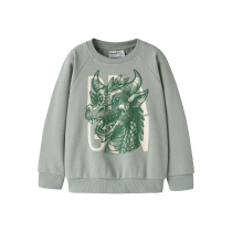 NAME IT Sweatshirt Vion Green Milieu Dragon