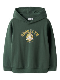 NAME IT Sweatshirt Velten Garden Topiary Brooklyn Basket