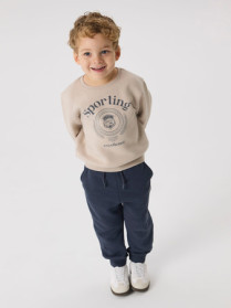 NAME IT Sweatshirt Drian Silver Lining